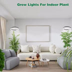 165Cm Height Adjustable LED Ring Grow Lights Indoor Plants Full Spectrum Large Plant Light for Indoor Plants USB Growing Lamp