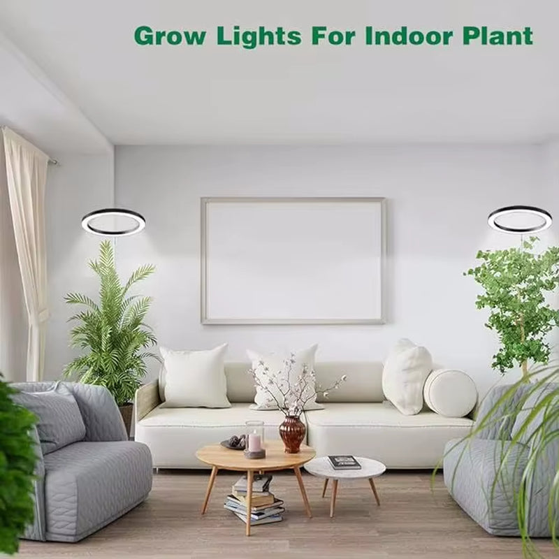 165Cm Height Adjustable LED Ring Grow Lights Indoor Plants Full Spectrum Large Plant Light for Indoor Plants USB Growing Lamp