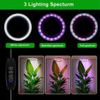 165Cm Height Adjustable LED Ring Grow Lights Indoor Plants Full Spectrum Large Plant Light for Indoor Plants USB Growing Lamp