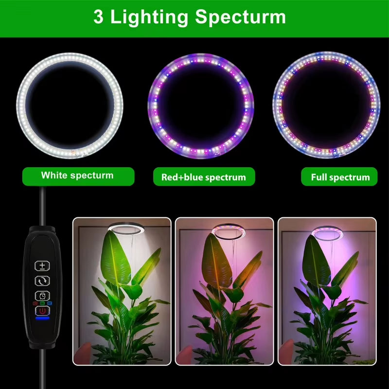 165Cm Height Adjustable LED Ring Grow Lights Indoor Plants Full Spectrum Large Plant Light for Indoor Plants USB Growing Lamp